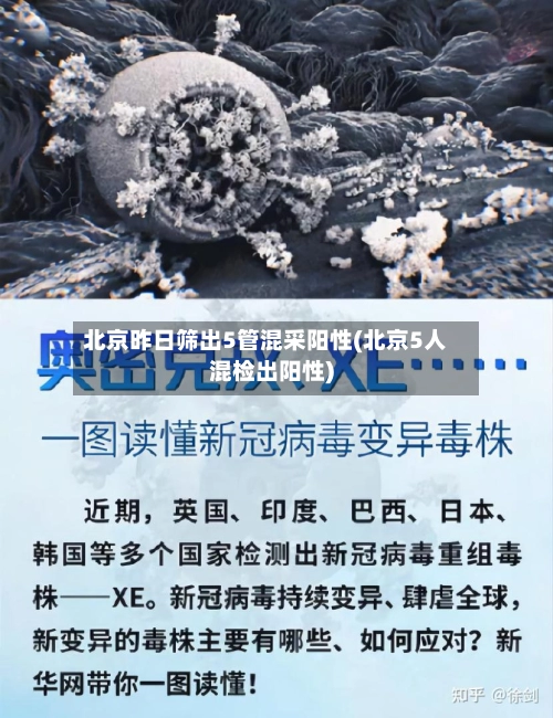 北京昨日筛出5管混采阳性(北京5人混检出阳性)