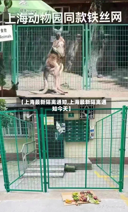 【上海最新隔离通知,上海最新隔离通知今天】-第3张图片