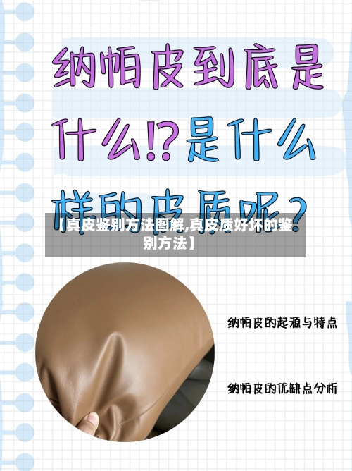 【真皮鉴别方法图解,真皮质好坏的鉴别方法】-第2张图片