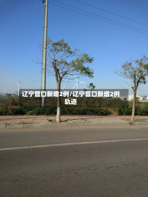 辽宁营口新增2例/辽宁营口新增2例轨迹-第3张图片