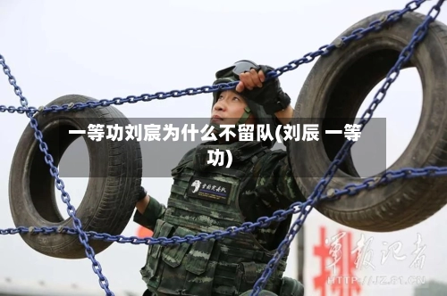 一等功刘宸为什么不留队(刘辰 一等功)-第2张图片