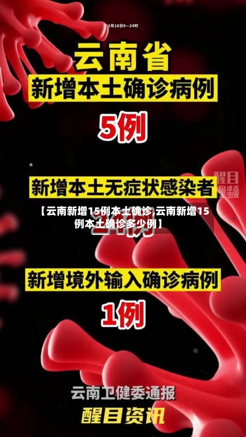 【云南新增15例本土确诊,云南新增15例本土确诊多少例】-第2张图片
