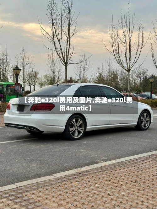 【奔驰e320l费用及图片,奔驰e320l费用4matic】