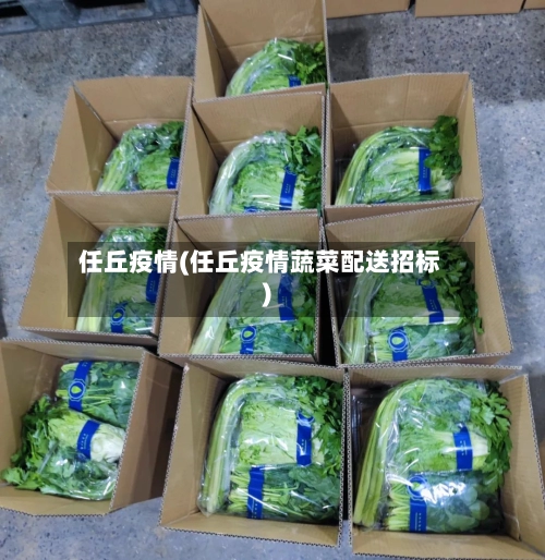 任丘疫情(任丘疫情蔬菜配送招标)