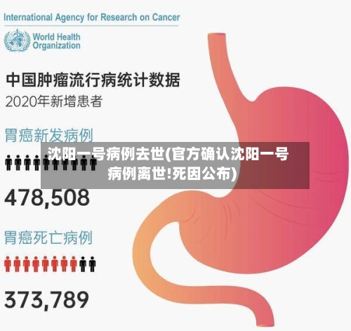 沈阳一号病例去世(官方确认沈阳一号病例离世!死因公布)-第3张图片