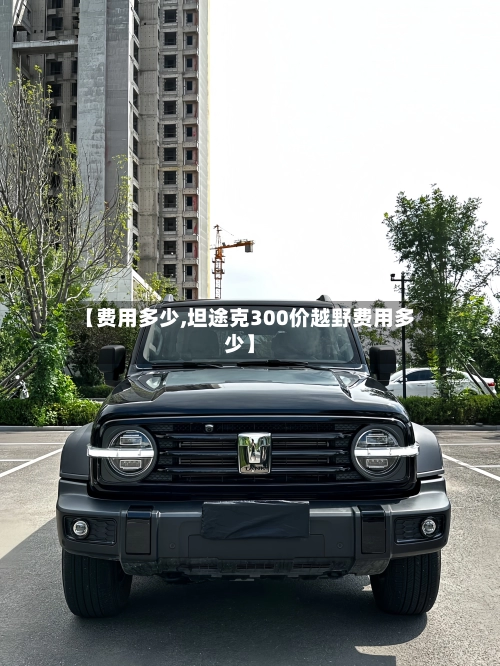 【费用多少,坦途克300价越野费用多少】