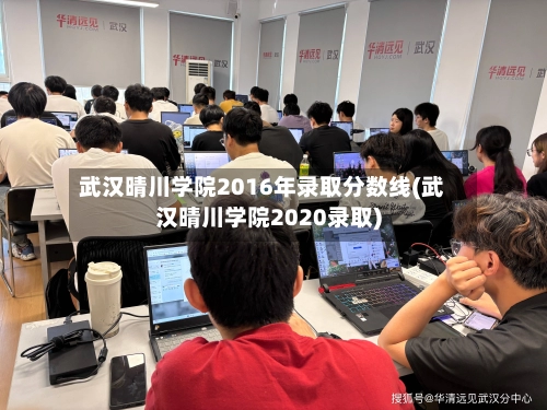 武汉晴川学院2016年录取分数线(武汉晴川学院2020录取)-第2张图片