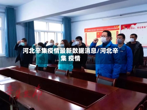河北辛集疫情最新数据消息/河北辛集 疫情-第2张图片