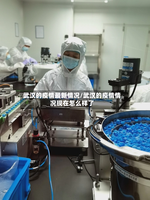武汉的疫情最新情况/武汉的疫情情况现在怎么样了