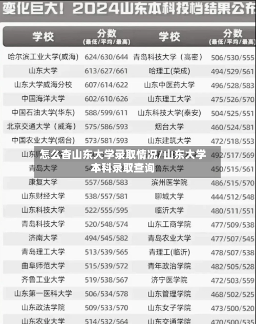 怎么杳山东大学录取情况/山东大学本科录取查询