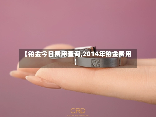【铂金今日费用查询,2014年铂金费用】