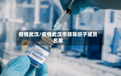 疫情武汉/疫情武汉市领导班子成员名单