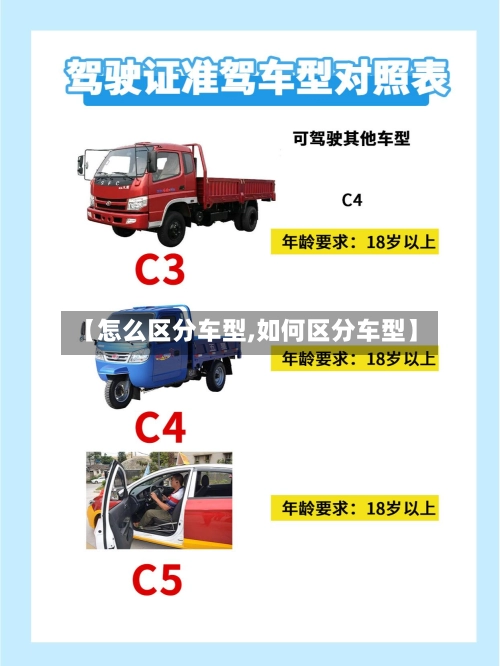【怎么区分车型,如何区分车型】