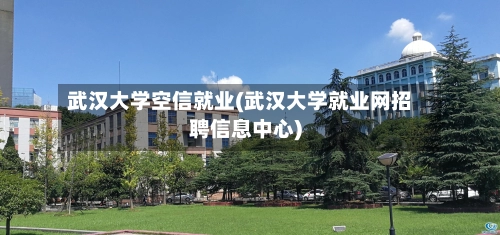 武汉大学空信就业(武汉大学就业网招聘信息中心)