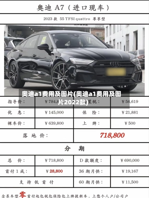 奥迪a1费用及图片(奥迪a1费用及图片2022款)-第3张图片