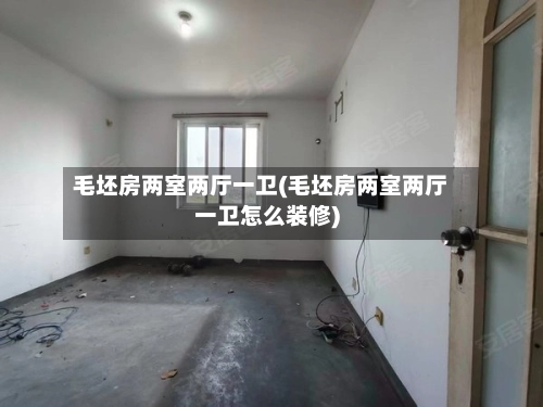 毛坯房两室两厅一卫(毛坯房两室两厅一卫怎么装修)