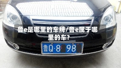 鲁e是哪里的车牌/鲁e属于哪里的车?-第2张图片