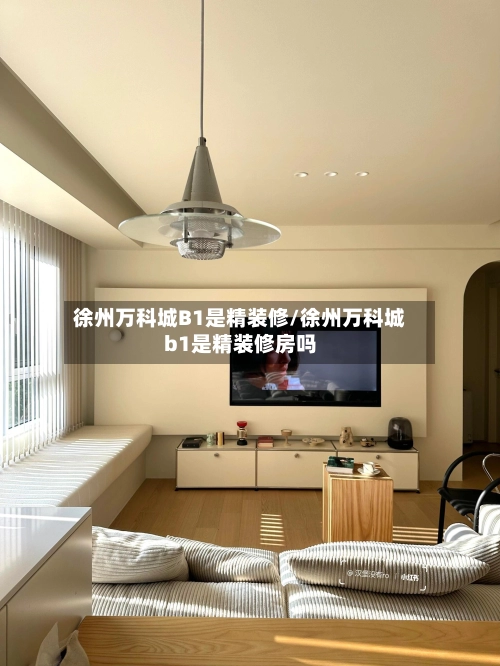 徐州万科城B1是精装修/徐州万科城b1是精装修房吗