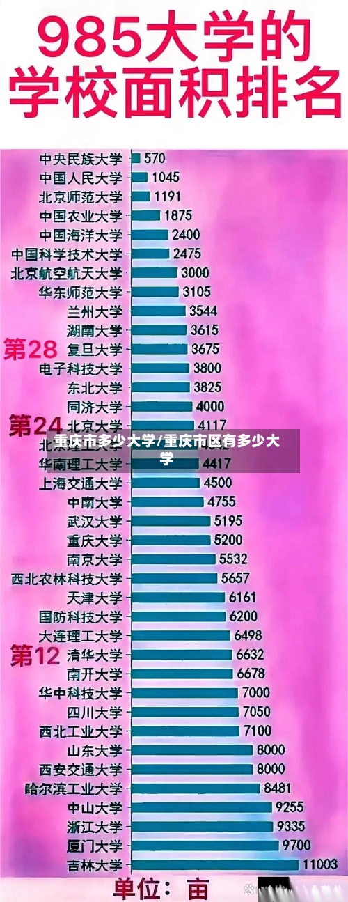 重庆市多少大学/重庆市区有多少大学