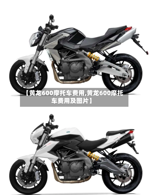 【黄龙600摩托车费用,黄龙600摩托车费用及图片】