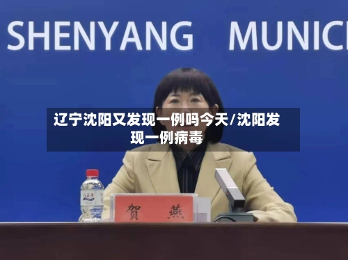 辽宁沈阳又发现一例吗今天/沈阳发现一例病毒-第3张图片