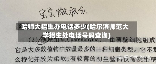 哈师大招生办电话多少(哈尔滨师范大学招生处电话号码查询)