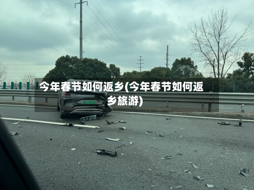今年春节如何返乡(今年春节如何返乡旅游)
