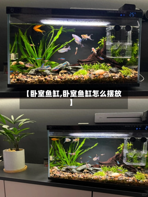【卧室鱼缸,卧室鱼缸怎么摆放】