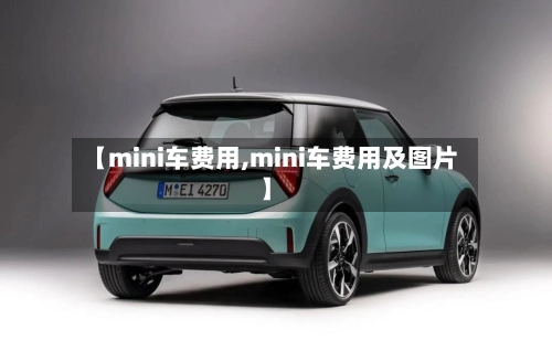 【mini车费用,mini车费用及图片】-第2张图片