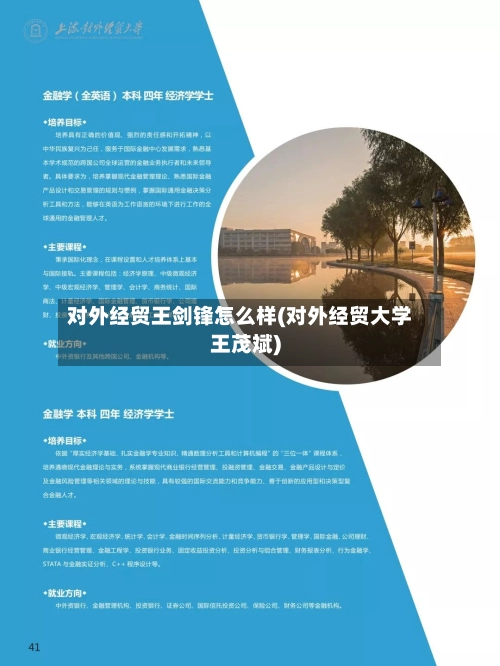 对外经贸王剑锋怎么样(对外经贸大学王茂斌)-第2张图片