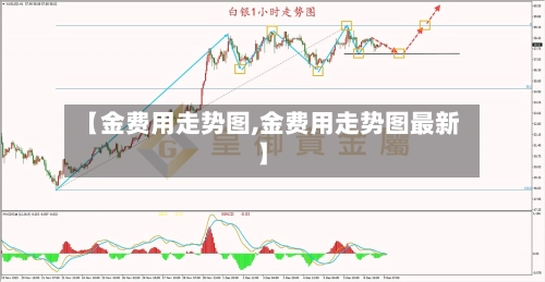 【金费用走势图,金费用走势图最新】