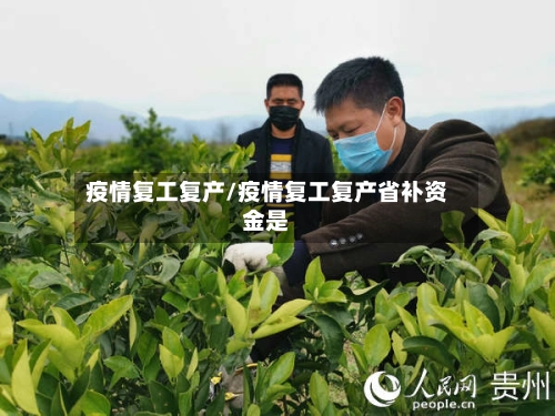 疫情复工复产/疫情复工复产省补资金是-第2张图片
