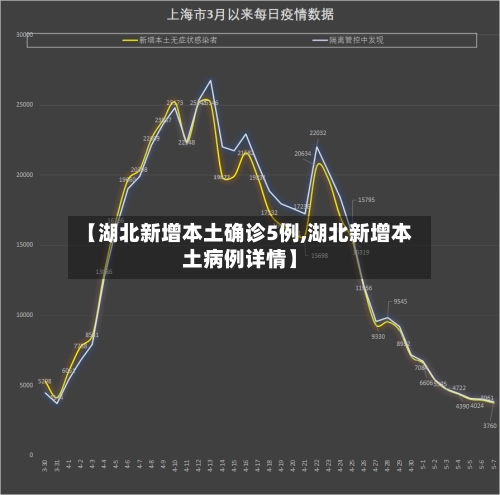 【湖北新增本土确诊5例,湖北新增本土病例详情】