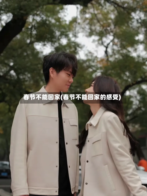 春节不能回家(春节不能回家的感受)-第2张图片