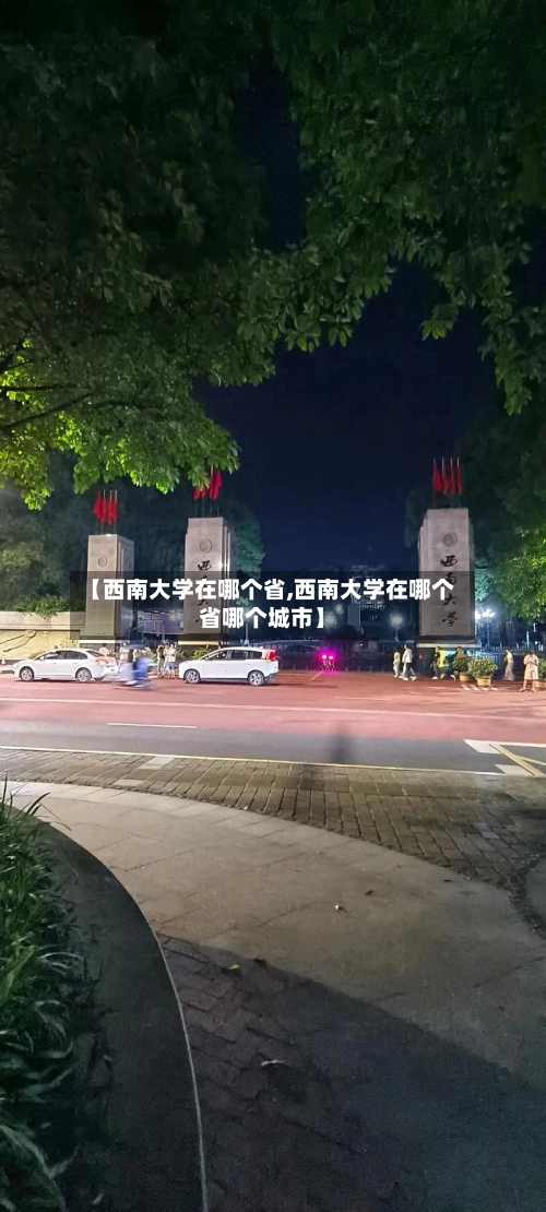 【西南大学在哪个省,西南大学在哪个省哪个城市】
