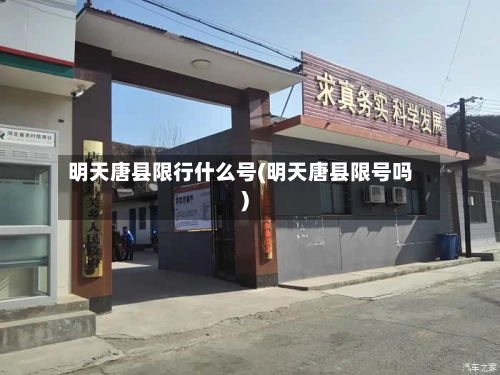 明天唐县限行什么号(明天唐县限号吗)-第3张图片