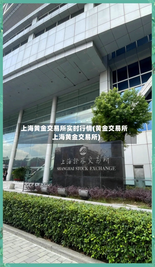 上海黄金交易所实时行情(黄金交易所上海黄金交易所)