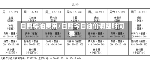 日照棕油费用/日照今日油价调整时间表-第2张图片