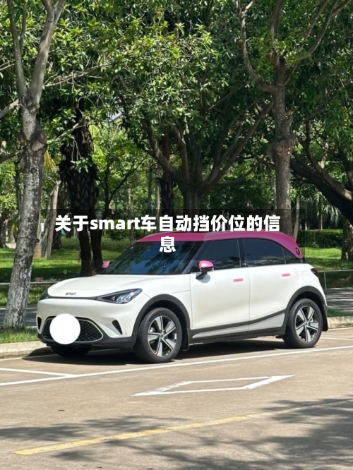 关于smart车自动挡价位的信息-第3张图片