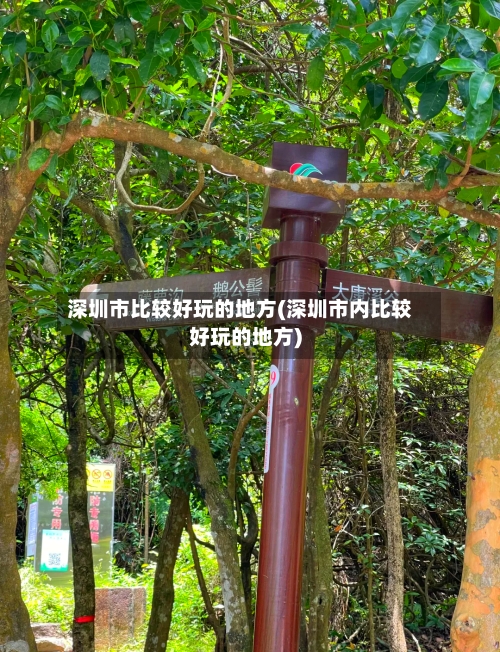 深圳市比较好玩的地方(深圳市内比较好玩的地方)-第2张图片