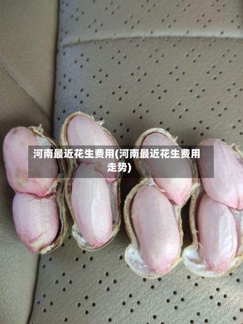 河南最近花生费用(河南最近花生费用走势)-第2张图片