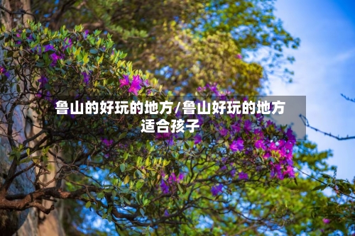 鲁山的好玩的地方/鲁山好玩的地方适合孩子