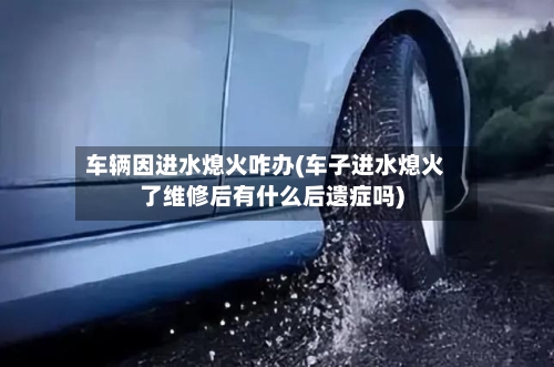车辆因进水熄火咋办(车子进水熄火了维修后有什么后遗症吗)-第2张图片