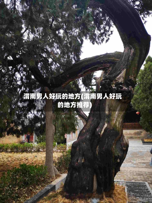 渭南男人好玩的地方(渭南男人好玩的地方推荐)-第2张图片