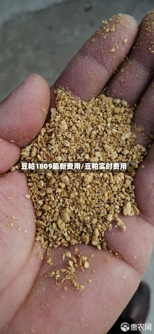 豆粕1809最新费用/豆粕实时费用