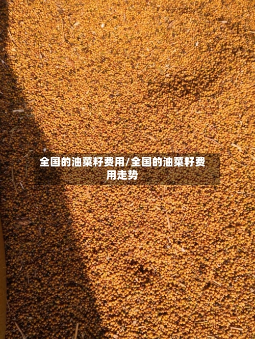 全国的油菜籽费用/全国的油菜籽费用走势