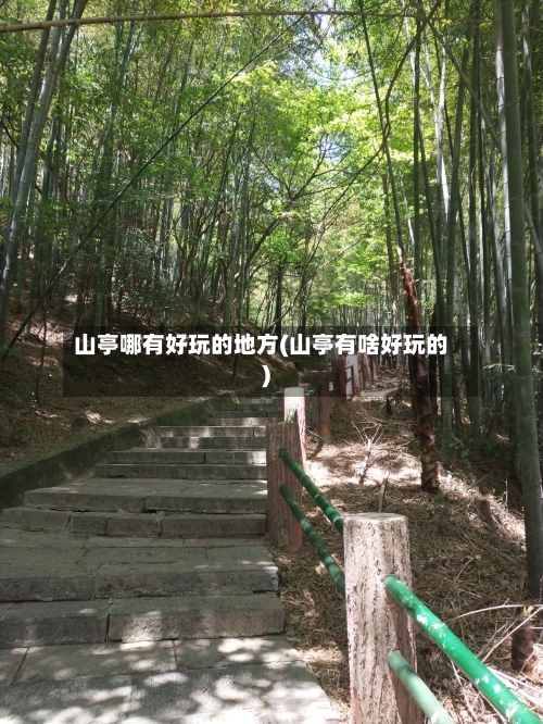 山亭哪有好玩的地方(山亭有啥好玩的)-第2张图片
