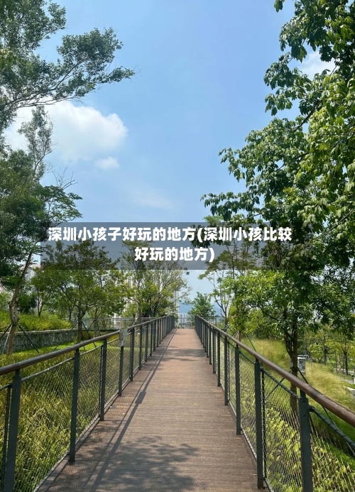 深圳小孩子好玩的地方(深圳小孩比较好玩的地方)-第2张图片