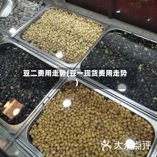 豆二费用走势(豆一现货费用走势)