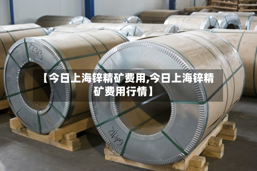 【今日上海锌精矿费用,今日上海锌精矿费用行情】